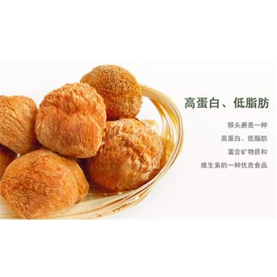 猴头菇