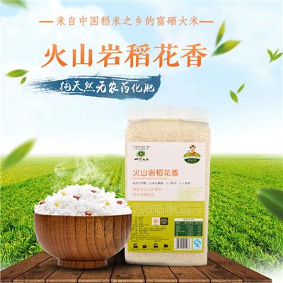 米耳庄东北含硒大米柳河姜家店火山岩稻花香绿色有机新米