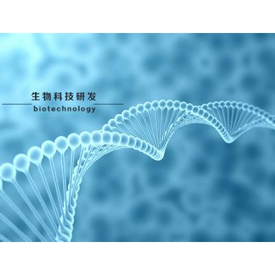 生物科技研发